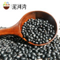 negro de frijol negro de alta calidad negro grano de frijol negro matte bean price